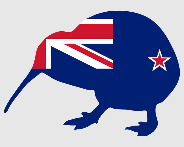 New Zealand kiwi — Stock Vector