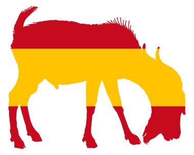İspanyol he-keçi