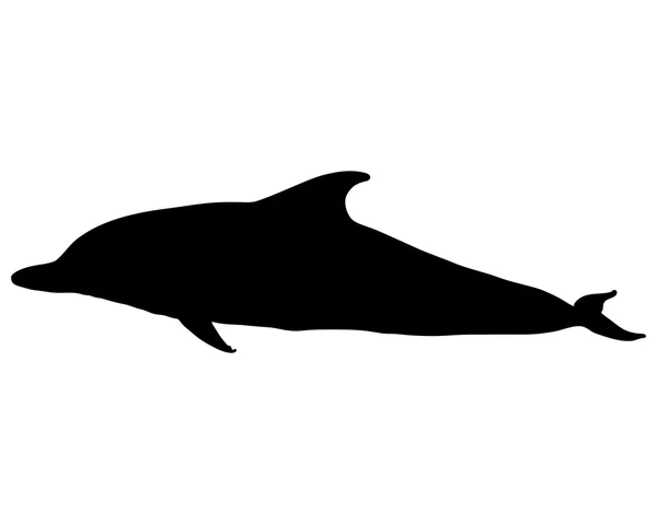 Dolphin silhouette — Stock Vector