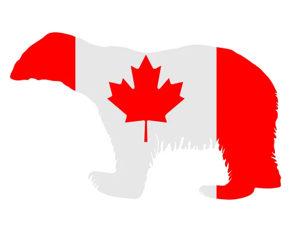 Canadian polar bear — Stock Vector