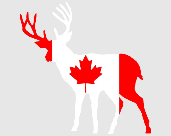 Canadese ijsbeer — Stockvector