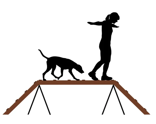 Woman and dog on dogwalk — Stock Vector