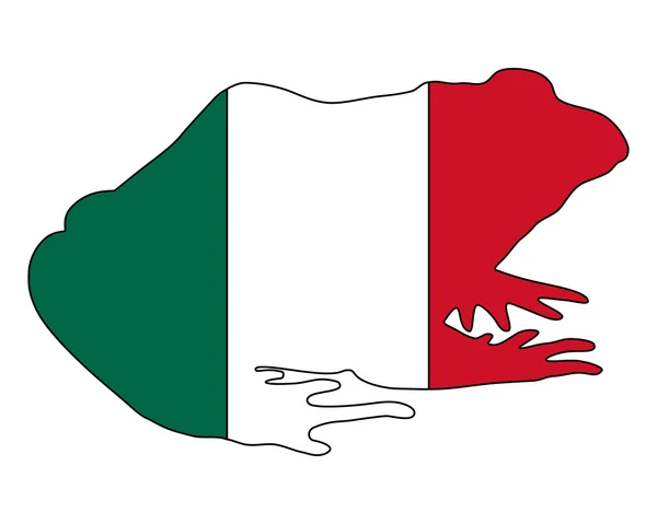 Bullfrog Messico — Vettoriale Stock
