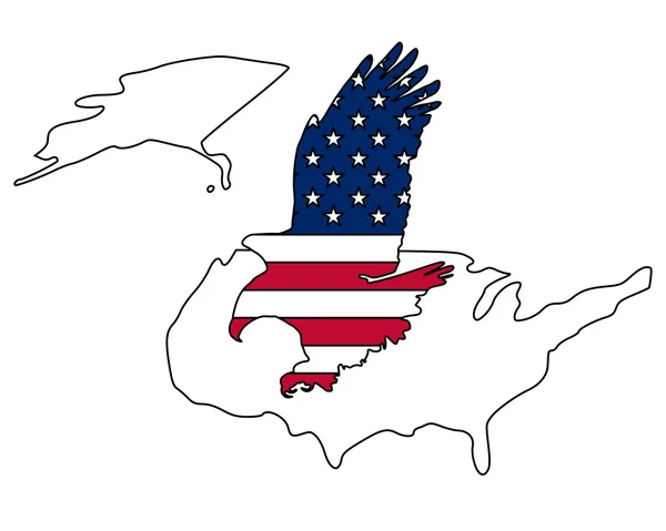 Aigle gras américain — Image vectorielle