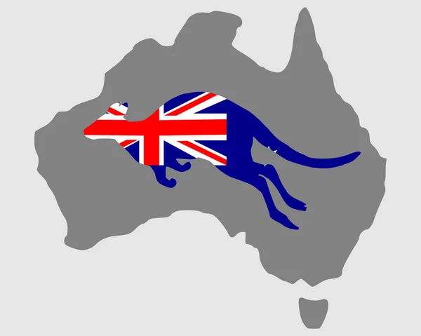 Australische kangoeroe — Stockvector