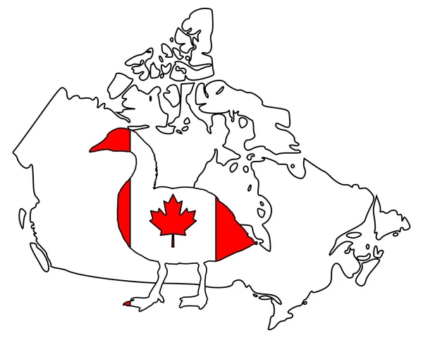 Bernache du Canada — Image vectorielle