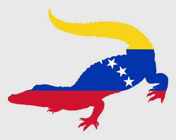 Krokodil venezuela — Stockvector