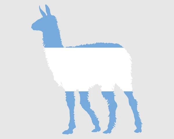 Argentinischer Lama — Stockvektor