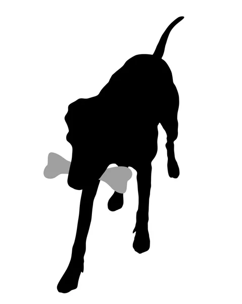 Hund med ben — Stock vektor
