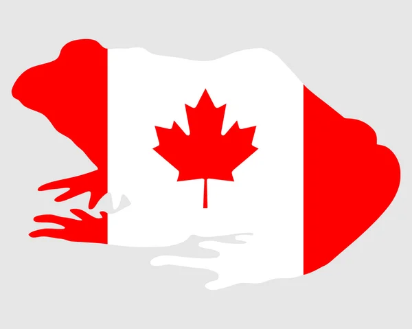 Bullfrog Canadá — Archivo Imágenes Vectoriales