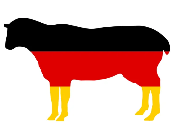 Alman koyun — Stok Vektör