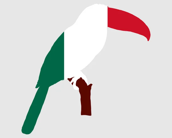 Toucan Meksika — Stok Vektör