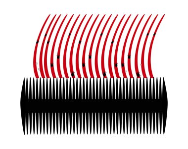 Lice comb and hair with nits on white background clipart