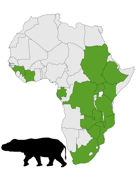 カバ アフリカ範囲 — ストックベクタ