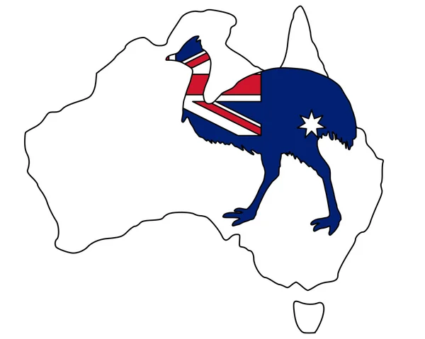 Kassowary Australien — Stock vektor
