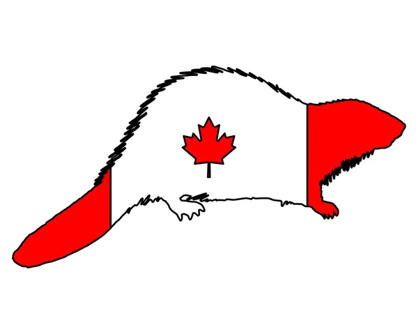 Bobr kanadský — Stockový vektor
