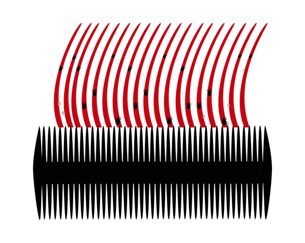 Lice comb and hair with nits on white background — Stock Vector