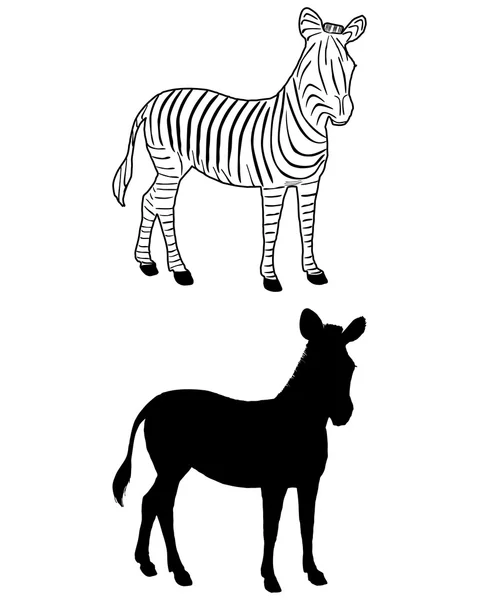 Siluet Zebra - Stok Vektor