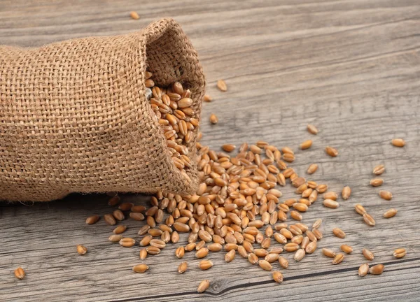 Cereal bag on wood — Stock Photo, Image