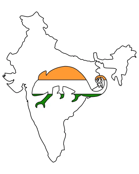 India Camaleón — Vector de stock