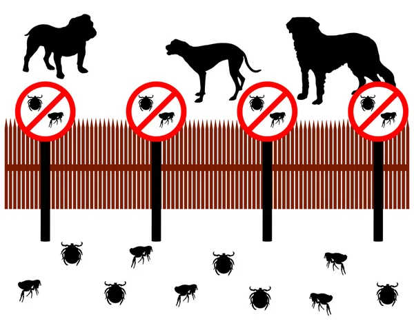 köpek pire ve kene karşı korumak için bir çitin arkasında