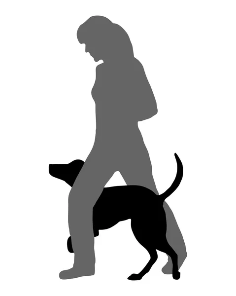 Dog agility (obedience): Command: Run through — Stock Vector