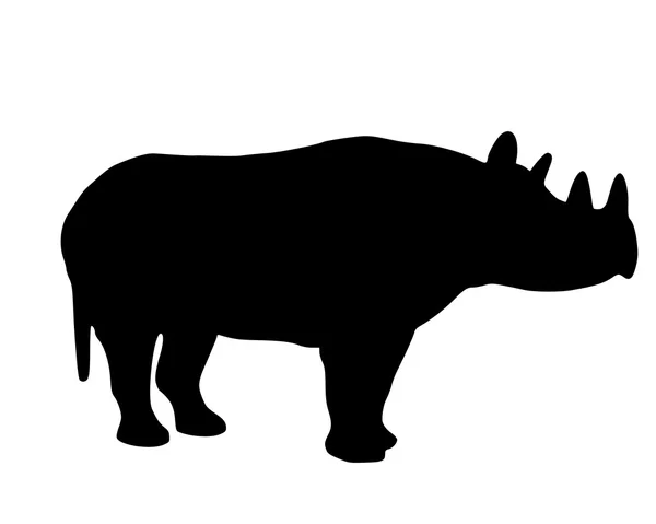 Nosorożec czarny — Wektor stockowy