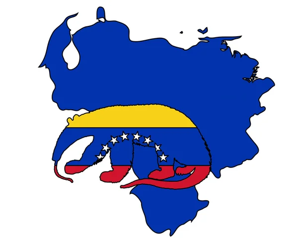 Anteater Venezuela — Stockvector