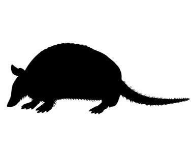 armadillo, siluet