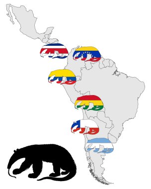 Dev karınca yiyen Amerika aralığı