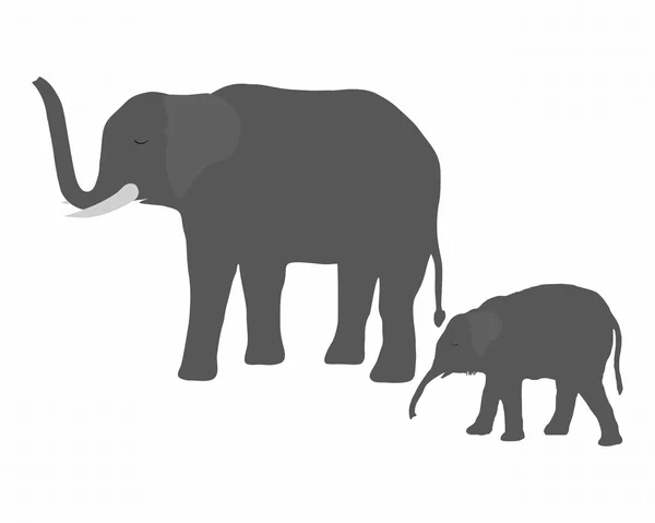 젊은 코끼리 암소 코끼리 — 스톡 벡터