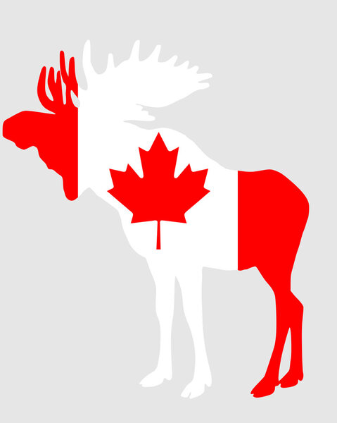 Mosse in flag of canada