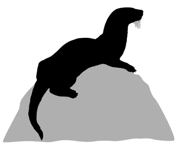 Otter di atas batu - Stok Vektor