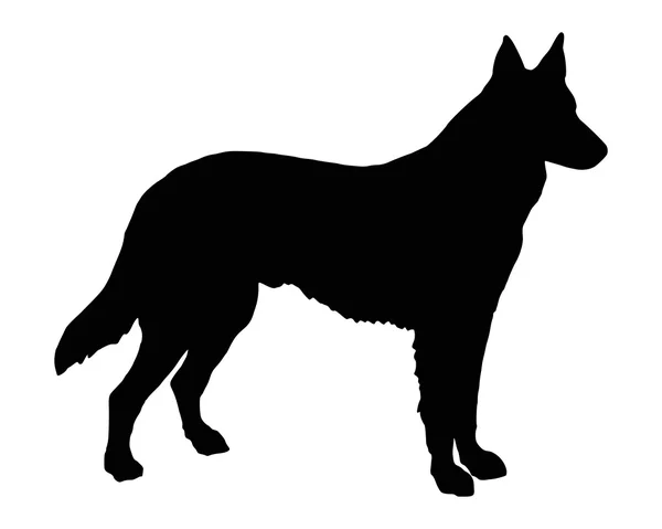 Чорний силует вівчарка собаки — стоковий вектор