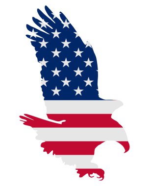 Amerikan kalın kartal