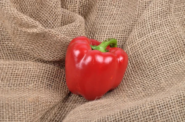 Pepper on jute — Stock Photo, Image