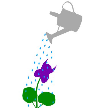 Sulama pot ve çiçek