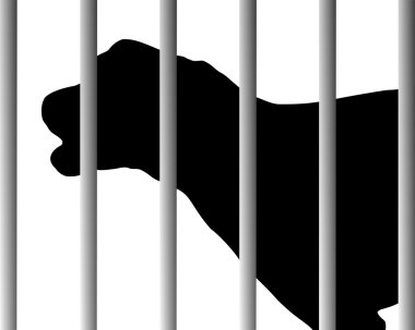Hayvan barınağındaki köpek
