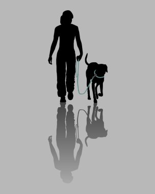köpek eğitimi (itaat): komut: gitmek vasıl belgili tanımlık kira kontratı!
