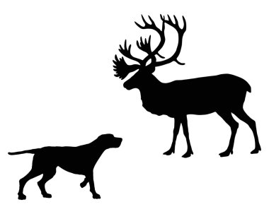 Two animals, setter and caribou meet face to face  clipart