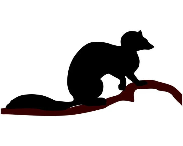 European Pine Marten silhouette — Stock Vector