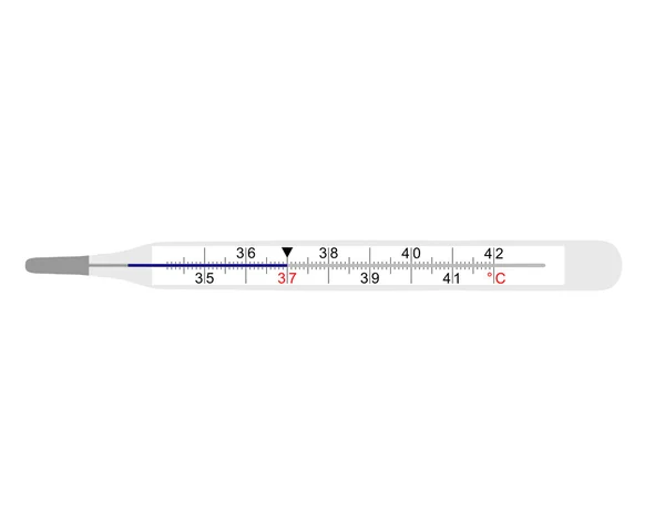 Analog clinical thermometer on white background — Stock Vector