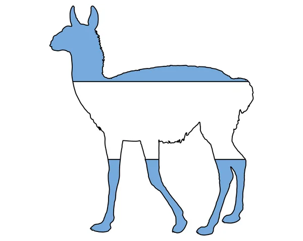 Argentina de guanaco — Archivo Imágenes Vectoriales