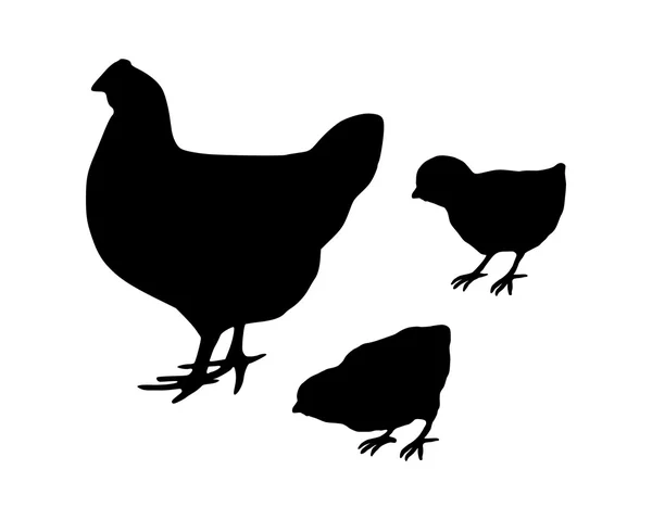 Kury i pisklęta — Wektor stockowy