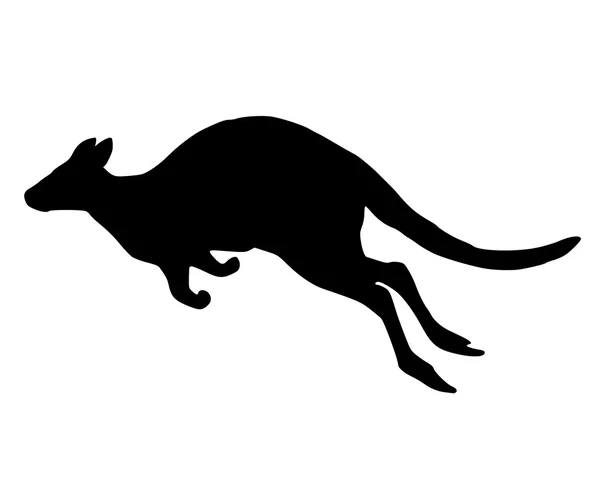 Detaljerad och isolerade illustration av känguru hoppa — Stock vektor