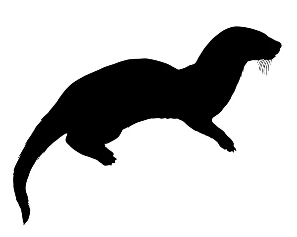 Otter silhouette — Stock Vector