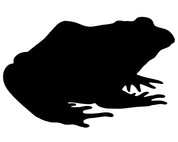 Stierfrosch-Silhouette — Stockvektor