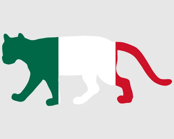 Cougar Messico — Vettoriale Stock