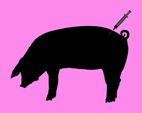 Swine gets an inoculation because of swine flu — Stock Vector