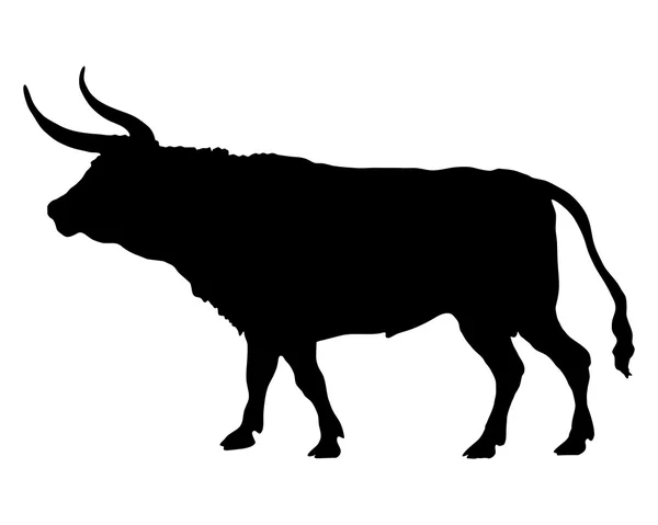 Silhouette of a bull — Stock Vector